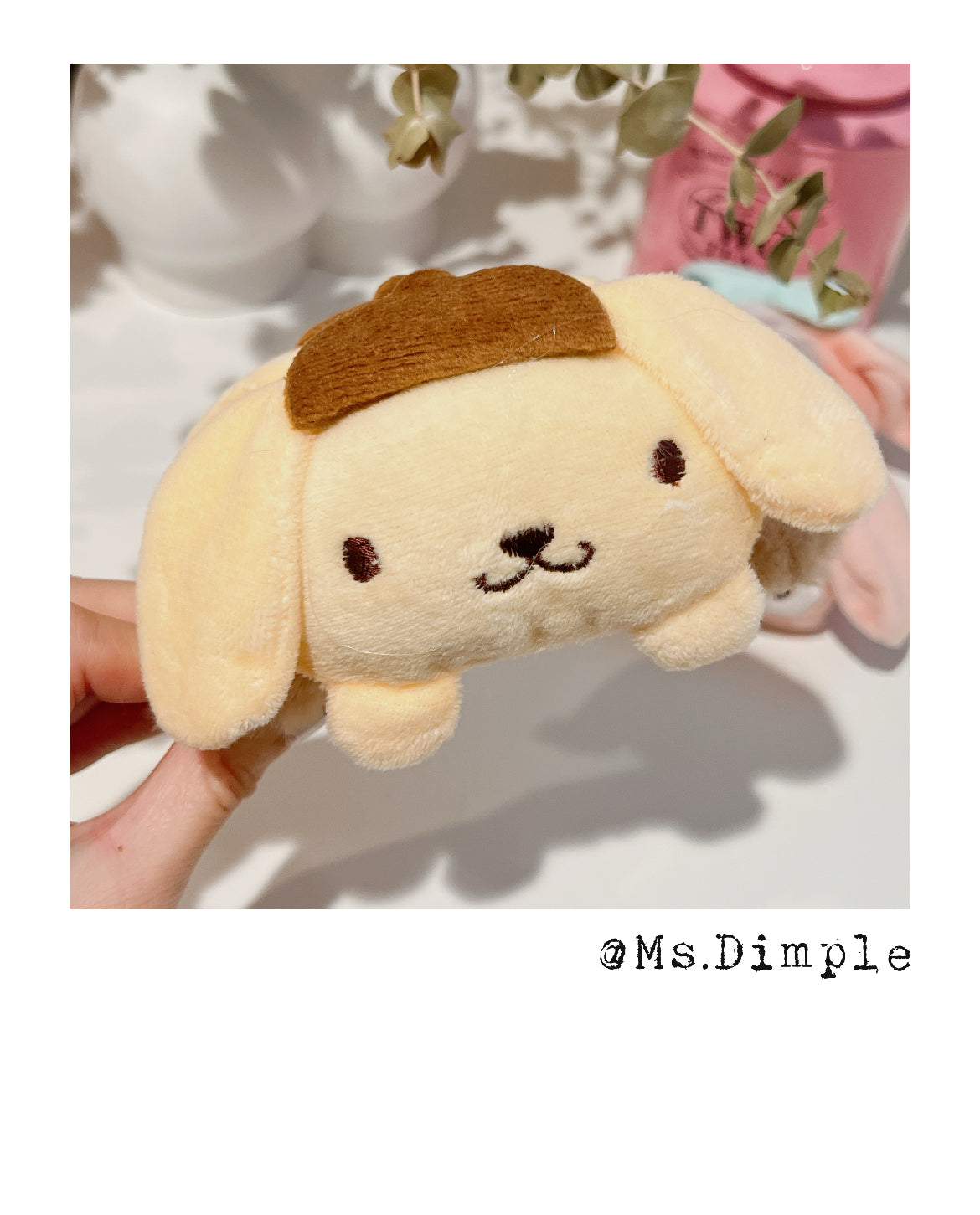 Fluffy Pudding Dog Hair Claw Clip