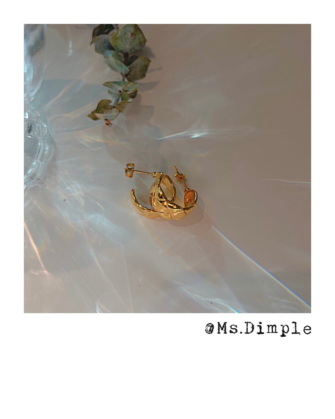 18k Gold Plated Stainless Steel Luxury Earrings