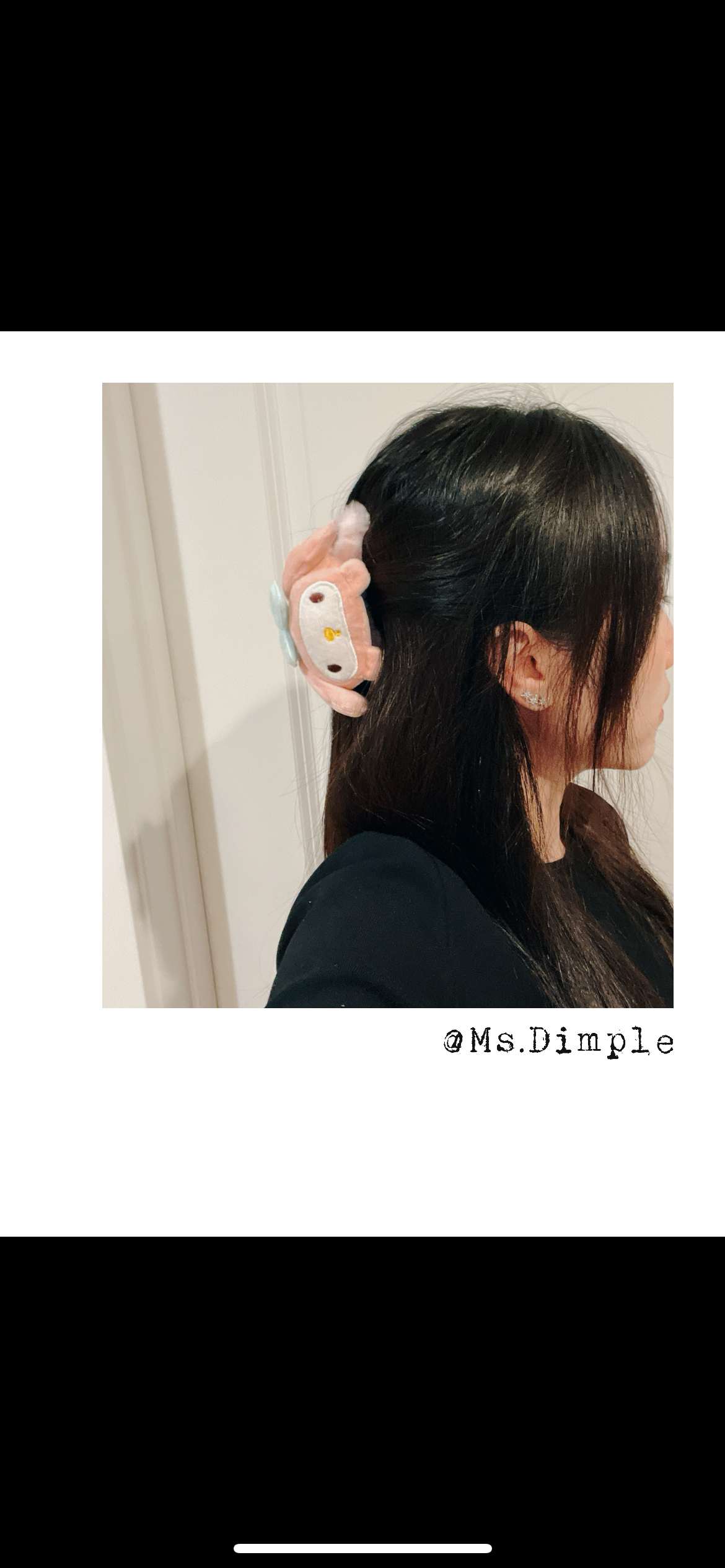 Fluffy Pudding Dog Hair Claw Clip