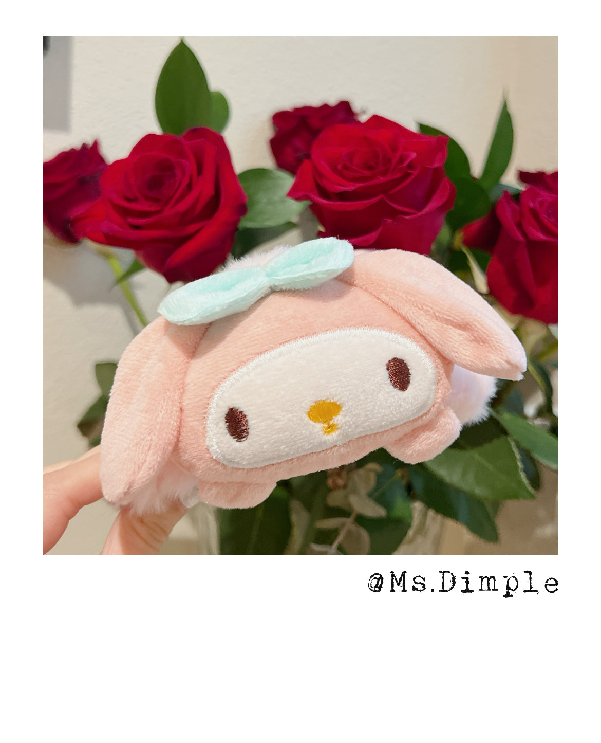 Fluffy Pudding Dog Hair Claw Clip