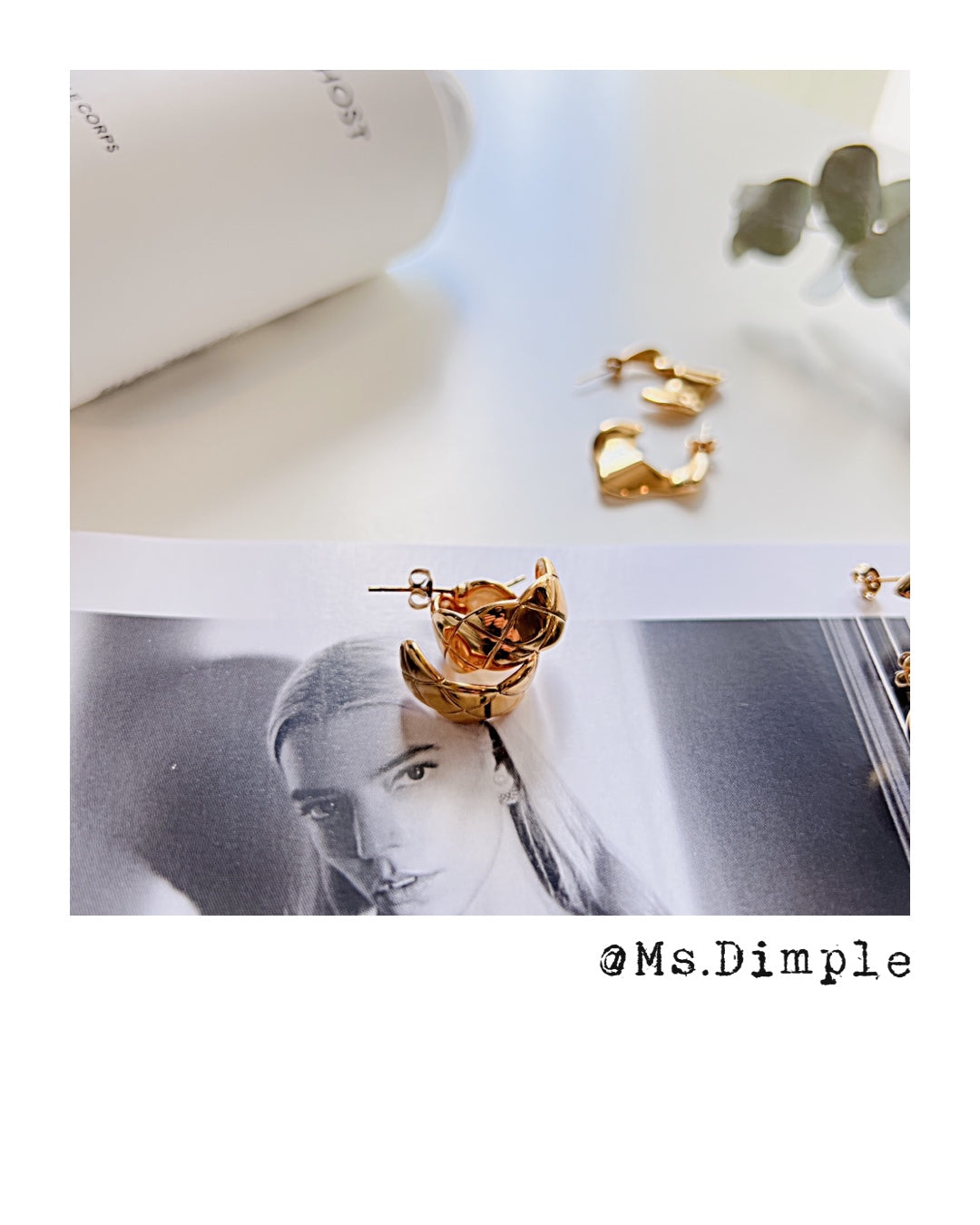 18k Gold Plated Stainless Steel Luxury Earrings