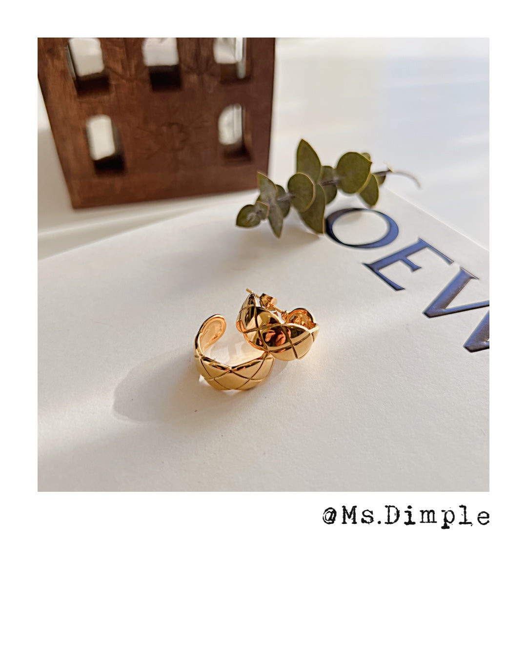 18k Gold Plated Stainless Steel Luxury Earrings