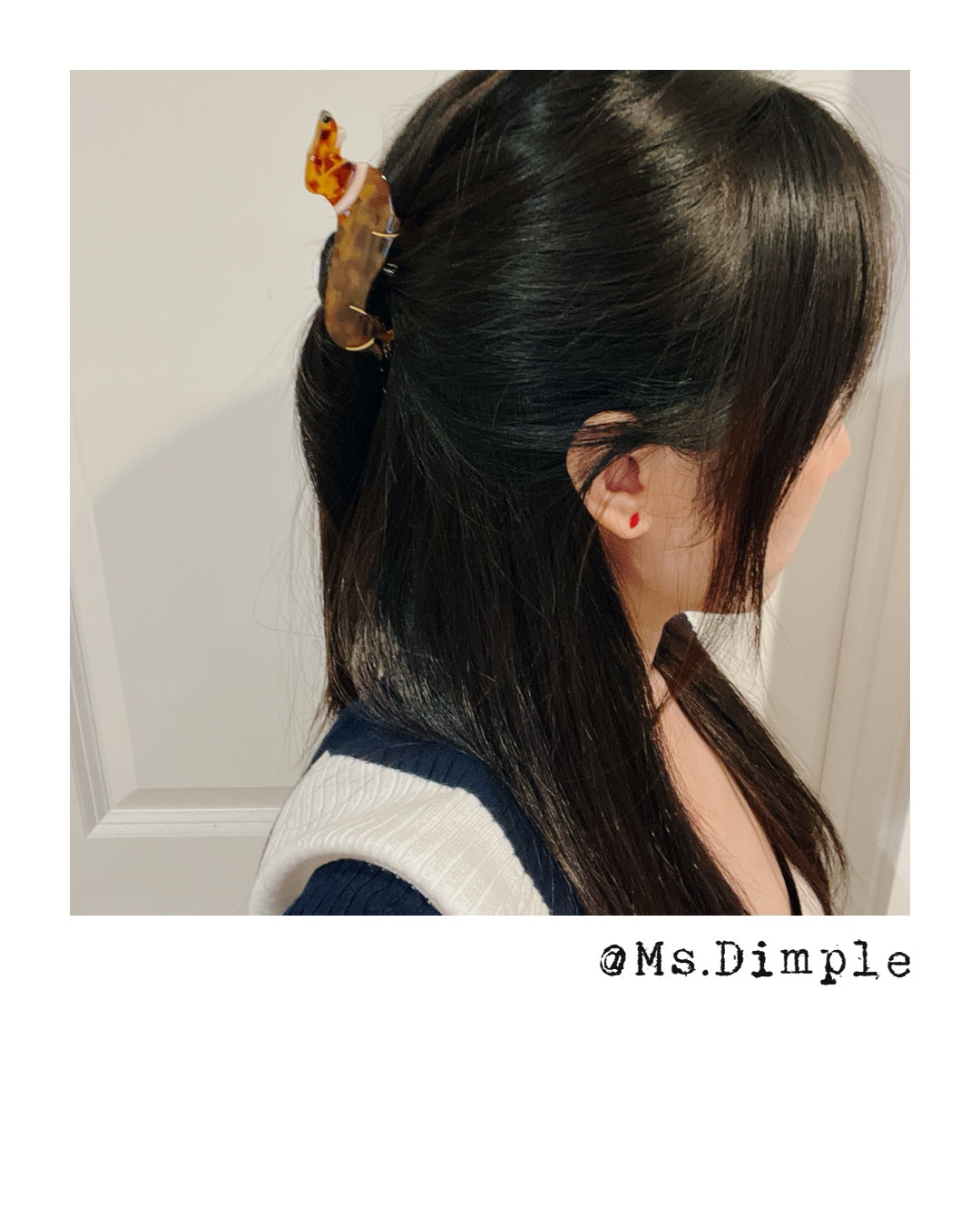 Cute Small Dachshund Dog Lover Hair Claw Clip