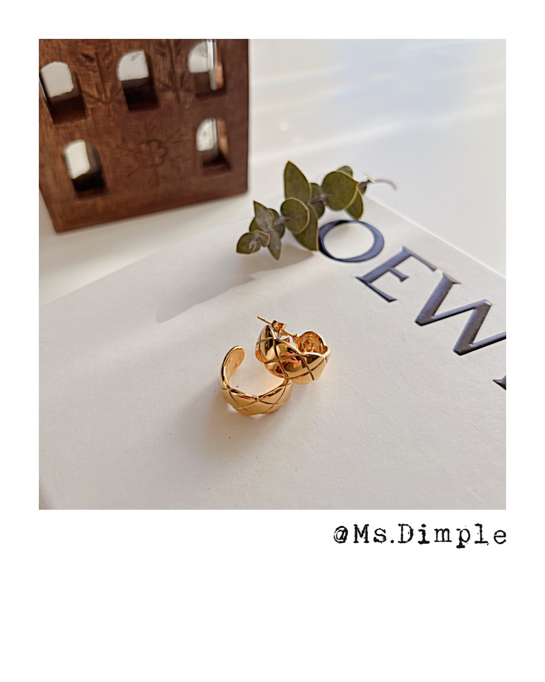 18k Gold Plated Stainless Steel Luxury Earrings