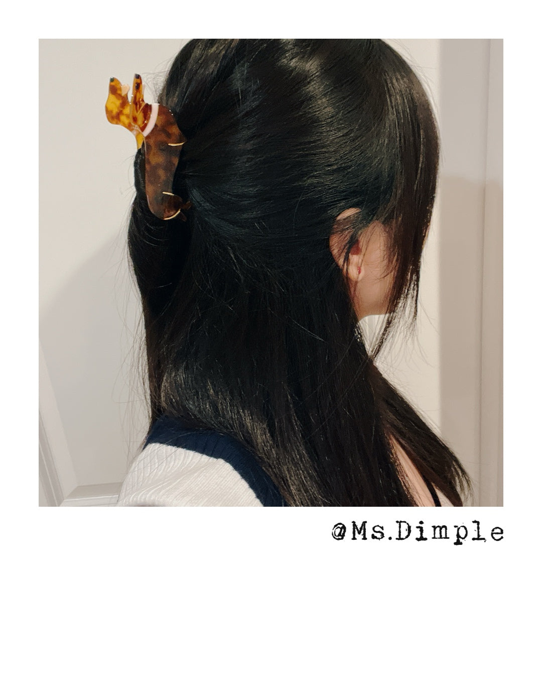 Cute Small Dachshund Dog Lover Hair Claw Clip