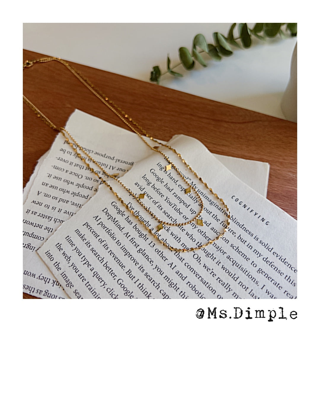 18k Gold Plated Double Layered Necklace