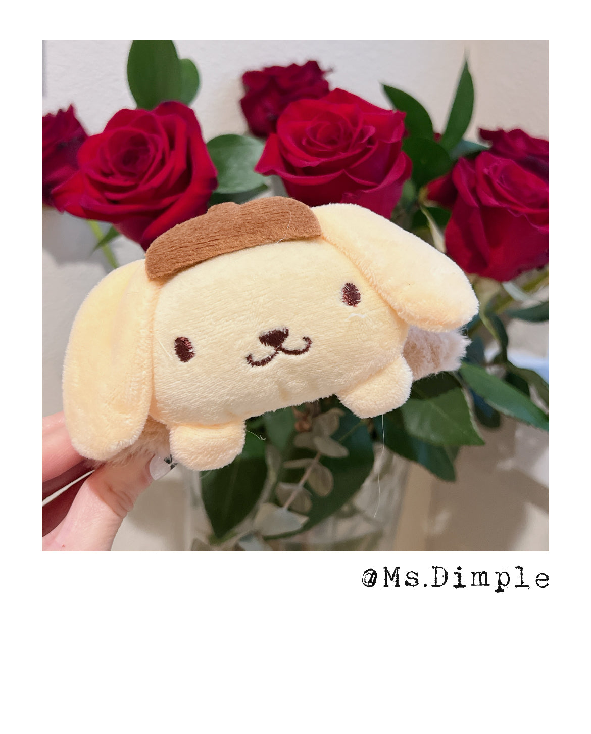Fluffy Pudding Dog Hair Claw Clip