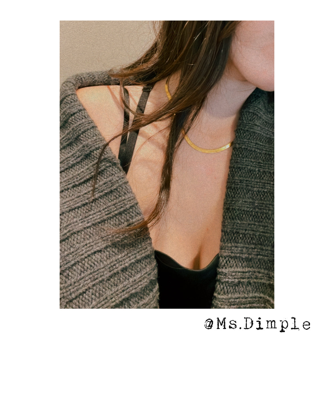 18K Gold Plated Stainless Steel Snake Flat Gold Necklace